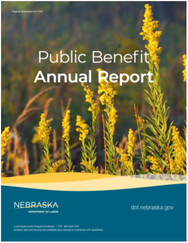 Annual Report publication cover